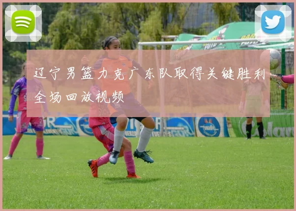 辽宁男篮力克广东队取得关键胜利全场回放视频