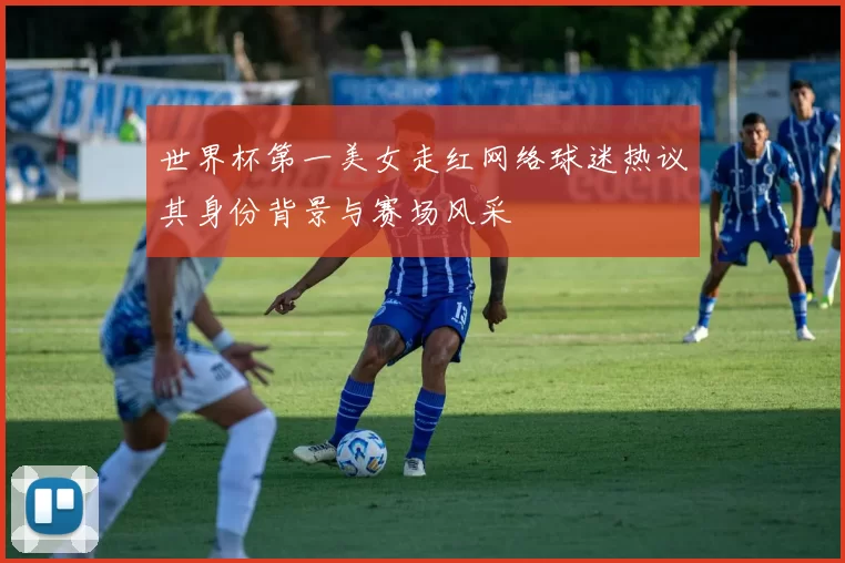 世界杯第一美女走红网络球迷热议其身份背景与赛场风采
