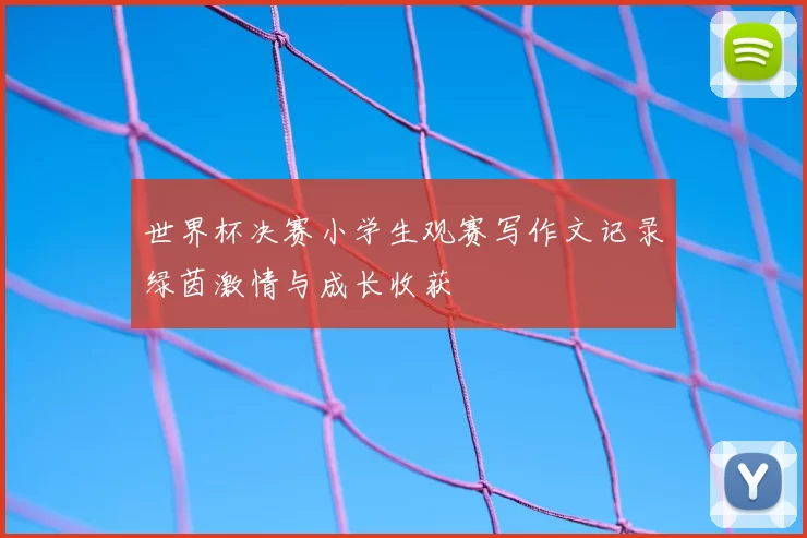 世界杯决赛小学生观赛写作文记录绿茵激情与成长收获