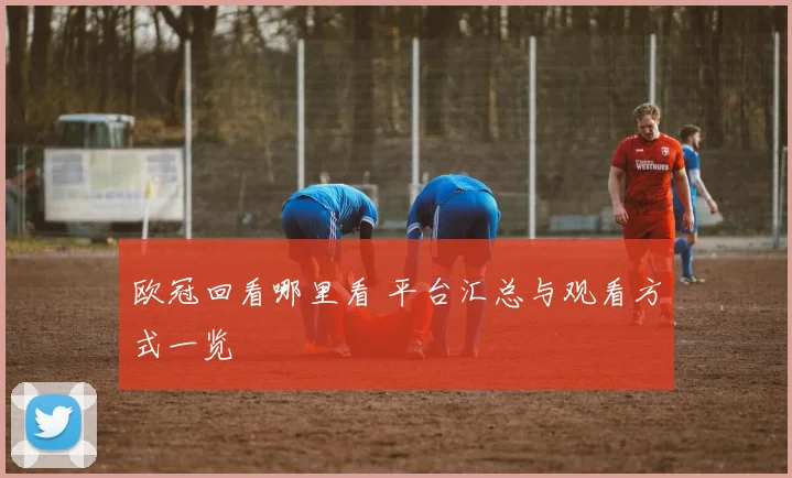欧冠回看哪里看 平台汇总与观看方式一览