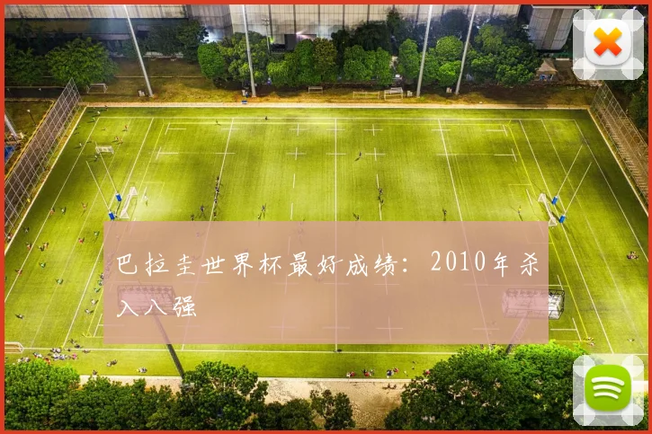 巴拉圭世界杯最好成绩:2010年杀入八强