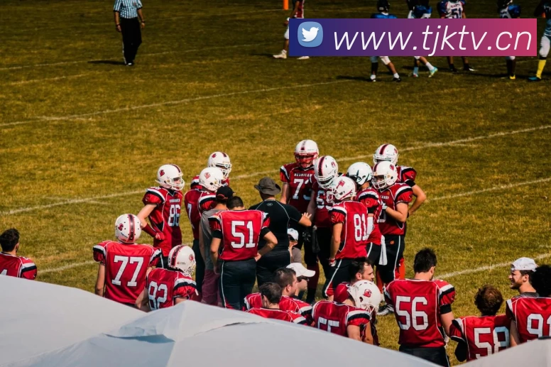 多媒体互动体验