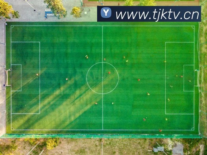 数据防护可视化